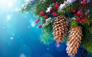 Kerstdrive voor alle leden op dinsdag 23 december