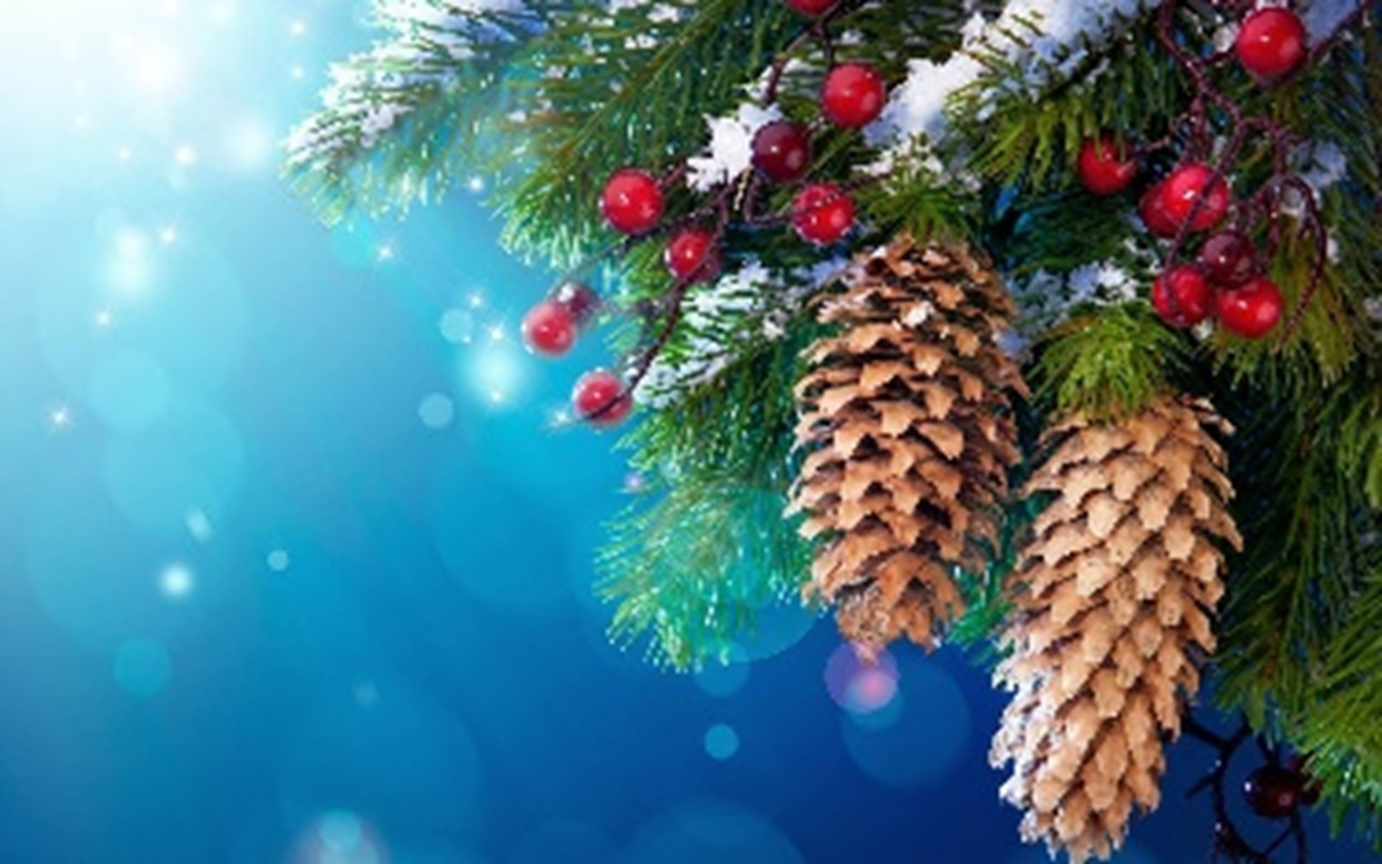 Kerstdrive voor alle leden op dinsdag 23 december